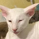 Ветер в твоей голове