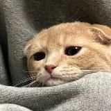 Владимир Путин | Россия Нейросеть