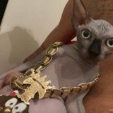 🚀Grupo Vinícius Net🚀