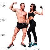 Серовски гайд бесплатно