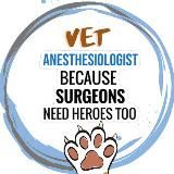 Вет. Анестезиология