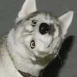 эндерс думоет (16+)