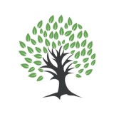 TreeCapital