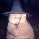 Таролог в шляпке