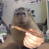 интимки реперов