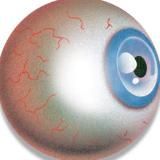 ПИЗДАСТАЛИНА