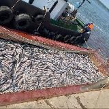 Отдел кадров.ДВ | Поиск работы | Актуальные вакансии