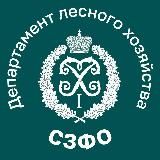 Департамент лесного хозяйства по СЗФО