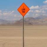 Бернеры Калифорнии