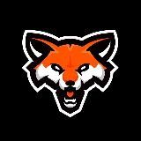 БК МГАФК - Малаховка