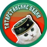 Татарстанские будни