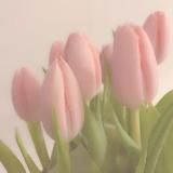 ПЕРЕЕЗД @elm3ry