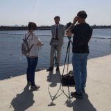 Разговор с Аналитегом