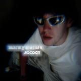 шастуновская лосося.