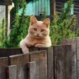 Урал - астральный край державы