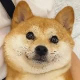 【二狗偷拍社】