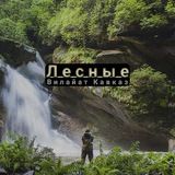 Лесные