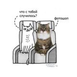 Чатик | Препод с камерой