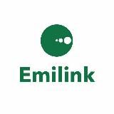 Emilink Group