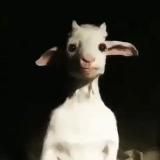 сонные