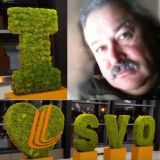 Фельдмаршал в Шарике