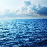 Вакансии Танкерный Флот ООО "НСК"