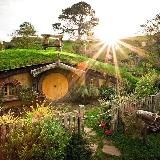 Со-Бытие 🌳