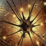 Мастерская быстрого обучения (обсуждения)