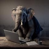 Postgres Guru | Базы данных 💐