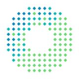 Yayasan Indonesian Blockchain Network