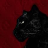 𝒕𝒂𝒚𝒉𝒊𝒅𝒂𝒂