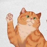 ПолимерКлуб