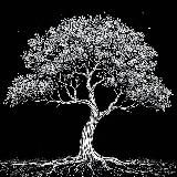 Искры мысли