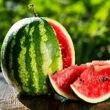 Палатка Алика Лезгина