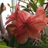 Микрорайон " Горняк"