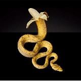 Пятая Колонна России