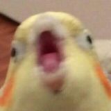 Клуб любителей сырников