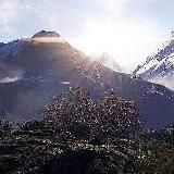 Будь в курсе, Алтай