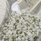 𝚕𝚎𝚜𝚖𝚒 𝚋𝚎𝚊𝚍𝚜 𓏲