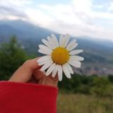 Эстетика души 🕊