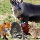 Ферма-парк Надеждинский район