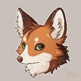 Нет лисичек