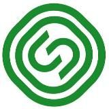 Группа Сегежа