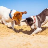 Отрыть себя