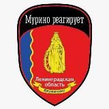 Мурино Реагирует