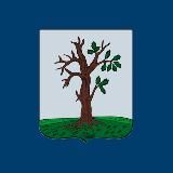 Стародубский округ