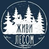 Живи Лесом | Аренда домов за городом