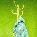 зеленый коридор;