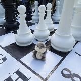 Белка Булка читает. Детские книги, обучение, развитие, психология.