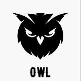 OwlSneakers | Delivery 🦉